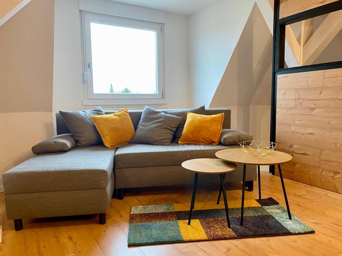 Platzhirsch Апартаменты Kehl